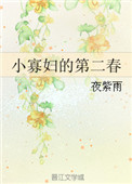 《小寡妇的第二春》封面