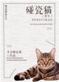 巨胃猫总在碰瓷[重生]封面