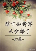 《陛下和将军又吵架了》封面