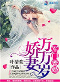 《军门蜜婚：娇妻万万岁》封面