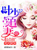 花式甜宠：叶少追妻有点忙封面