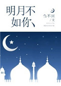 《明月不如你》封面