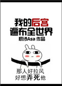 我的后宫遍布全世界封面
