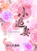 《小逃妻》封面
