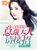 《蜜爱成婚：总裁大人请接招》封面