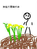 《我在六零种大米》封面