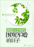 《我在八十年代围观军婚的日子》封面
