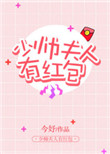 《少帅夫人有红包》封面