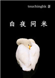《白夜问米》封面