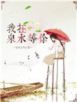 《我在泉水等你》封面