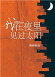 我在夜里见过太阳封面
