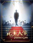 完美人生