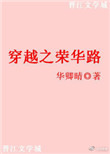 《穿越之荣华路》封面