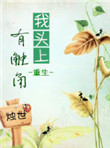 《我头上有触角（重生）》封面