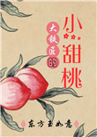 《大铁匠的小甜桃》封面