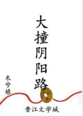 大撞阴阳路封面