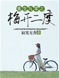 《重生九零之梅开二度》封面