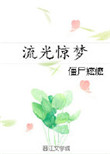 《流光惊梦》封面
