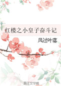 《红楼之小皇子奋斗记》封面