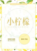 《小柠檬》封面