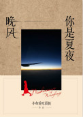 《你是夏夜晚风》封面
