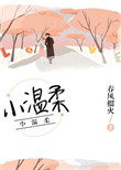 《小温柔》封面