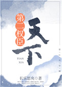 天下第二权臣封面