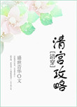 清宫攻略（清穿）封面