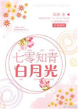 七零知青白月光txt电子书下载