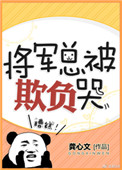 将军总被欺负哭封面