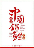 《成为中国锦鲤之后》封面