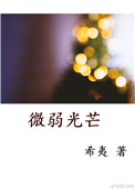 《微弱光芒》封面