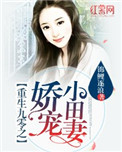 《重生九零之娇宠小田妻》封面