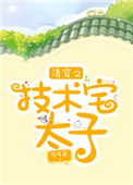 清穿之技术宅太子封面