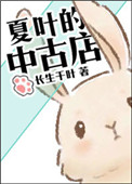 《夏叶的中古店》封面