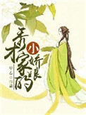 《秀才家的小娇娘》封面