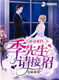 《娇妻难挡，季先生请接招》封面
