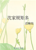 《沈家规矩多》封面