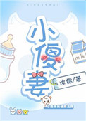 《小傻妻》封面