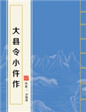 大县令小仵作封面