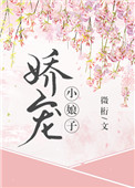 《娇宠小娘子（重生）》封面