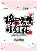 《将军爱集小红花》封面