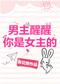 《男主醒醒你是女主的！》封面