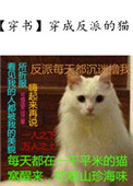 《穿成反派的猫》封面