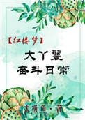 《[红楼]大丫鬟奋斗日常》封面