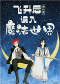 《飞升后误入魔法世界》封面