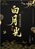 《陛下心中有个白月光》封面