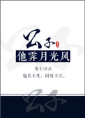 《公子他霁月光风》封面