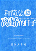 《和简总离婚的日子》封面
