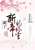 成了新帝的外室txt电子书下载